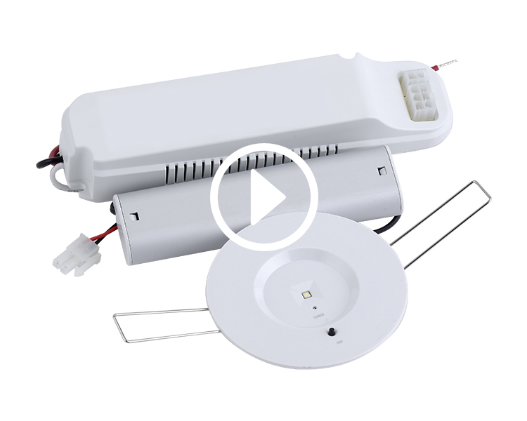D40-R-1 Núdzové LED Downlight