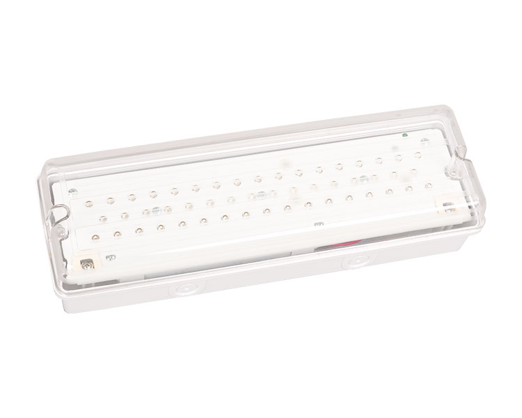 LE502L IP65 50LED Nepremokavé núdzové svetlo